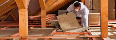 Best Attic Insulation Installation  in North Star, DE